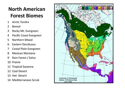 28 North America Biomes Map Maps Online For You