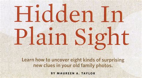 Hidden In Plain Sight Cheat Sheet Maureen Taylor