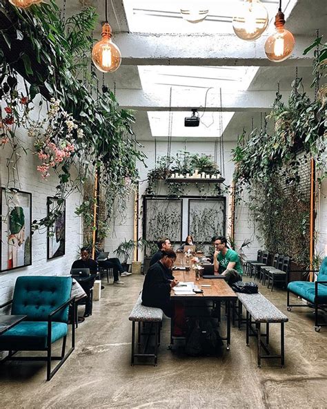 Plantes Au Plafond Davina⚡️nyc Heydavina • Instagram Photos And
