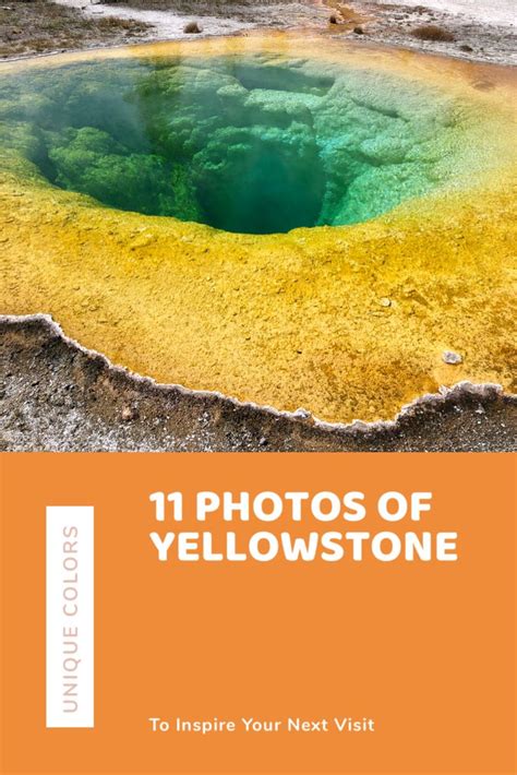 yellowstone is the oldest and largest national park in tje united states let these photos
