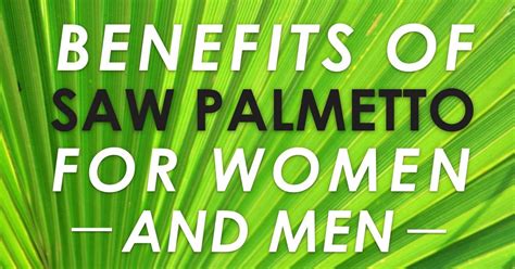 Benefits Of Saw Palmetto For Women And Men Holistic Health For Life