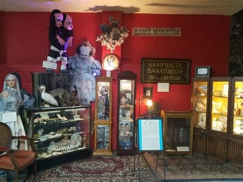 This Strange Shop In Idaho Is Filled With Curiosities And An Oddities