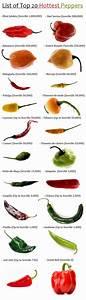 117 Best Peppers Sweet Peppers Seed Varieties Images On Pinterest