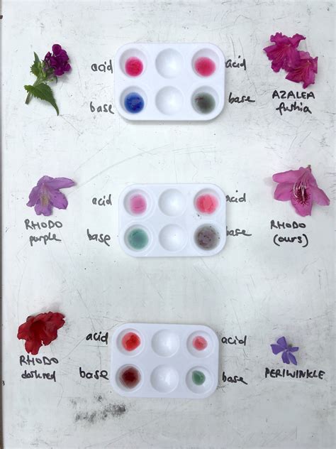 With these colors, you can also use the color name. Flower colours | ingridscience.ca