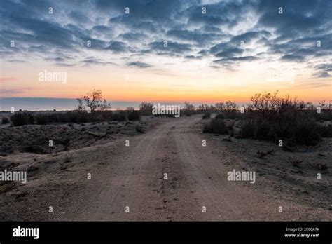 Dirt Road In The Wilderness Stock Photo Alamy