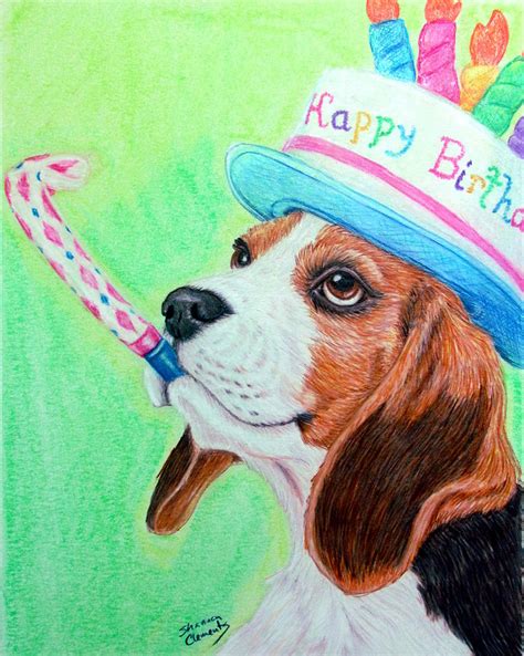 Birthday Beagle Drawing By Shannon Clements Fine Art America
