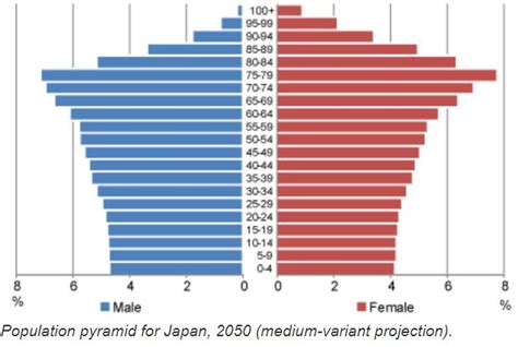 This Is A Projection Of The Age Sex Pyramid Of Japan What Can We Say About It