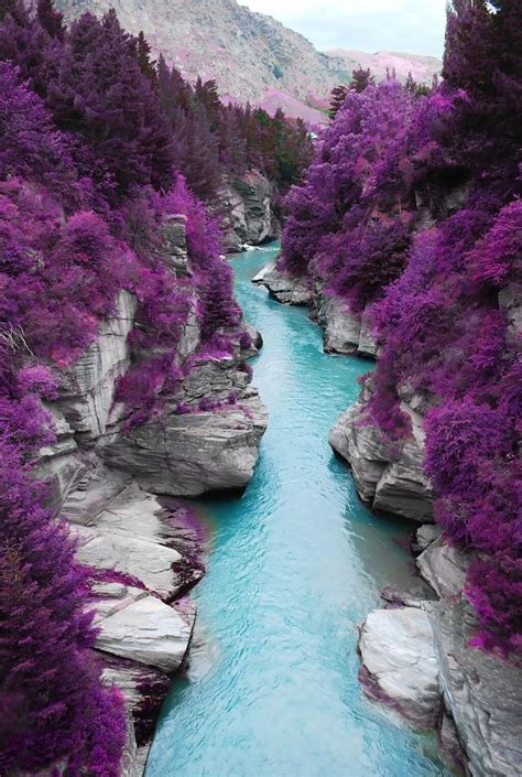 Purple Forest Isle Of Skye Scotland Lugares Para Viajar Lugares
