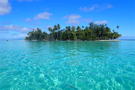 Private Tour From Raiatea 12 Day Excursion To Tahaa Or Other French