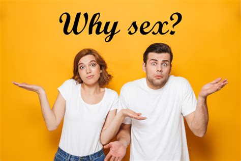 What Is The Purpose Of Sex The Generous Husband