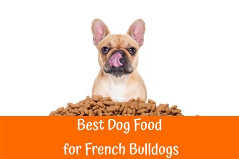 At french bulldog news we care about your dog. Guide to the Best Dog Food for French Bulldogs - US Bones