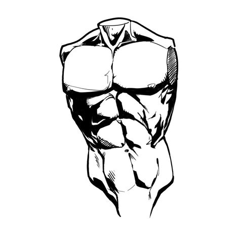 How To Draw The Torso Front View Artofit