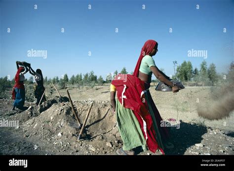 Asia India Rajasthan Rural Scene Female Manual Workers Building