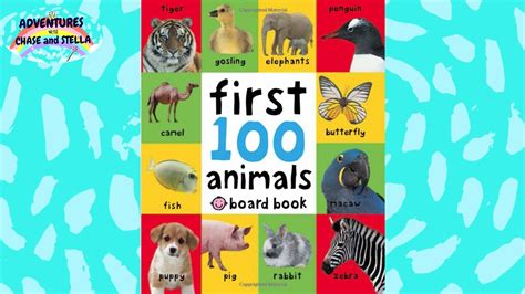 Lets Read First 100 Animals Book With Gabriel Youtube
