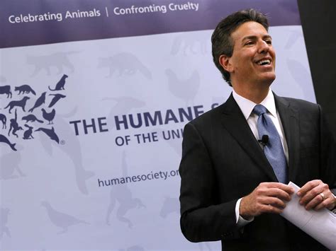 ceo of the humane society resigns amid allegations of sexual harassment the two way npr