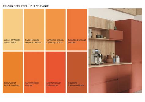 Bekijk onze oranje selectie voor de allerbeste unieke of custom handgemaakte items uit onze shops. Oranje in de keuken - Keukenwarenhuis