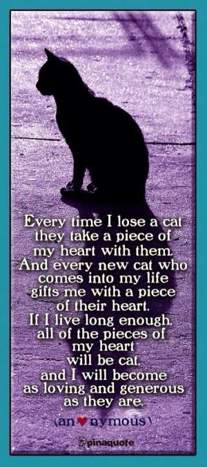 They are perfect for including in a sympathy card or note, perhaps with a gift. Cat Grief Quotes. QuotesGram