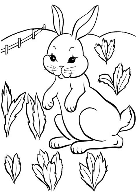 More images for disegni da colorare di conigli » 45 Disegni di Conigli da Colorare | PianetaBambini.it