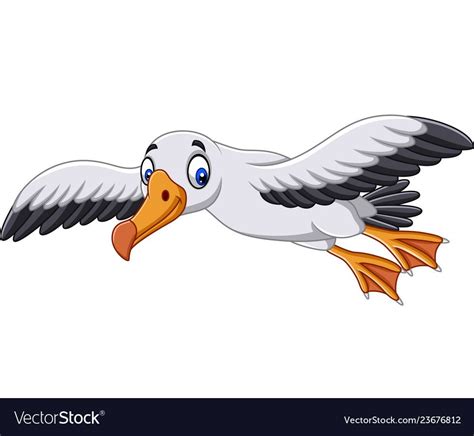 Cartoon Albatross Flying Vector Image On Vectorstock Animal Drawings