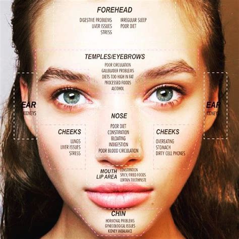 Face Map Your Acne Different Areas And Locations Of Your Acne Can Tell