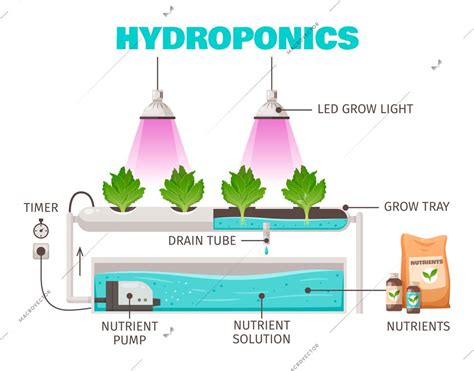 Hydroponics Farming Concept With Vertical Water Saving Symbols Cartoon