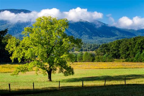 Cades Cove In The Great Smoky Mountains National Park