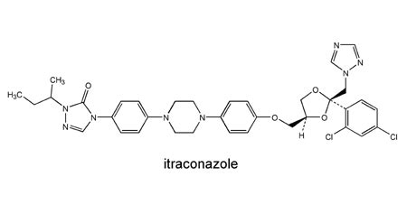 Itraconazole Doctor Fungus