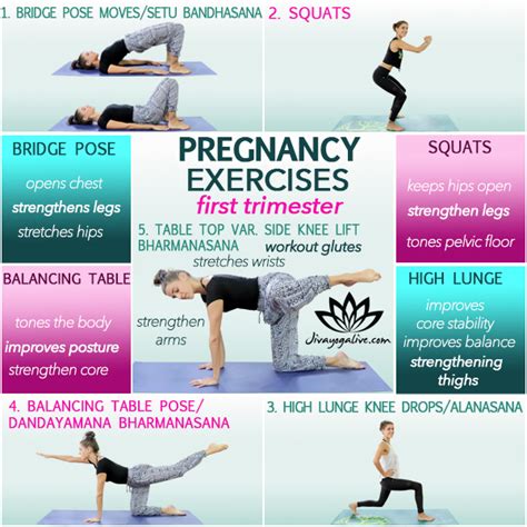 Top 5 First Trimester Pregnancy Exercises Workout Routine Jivayogalive