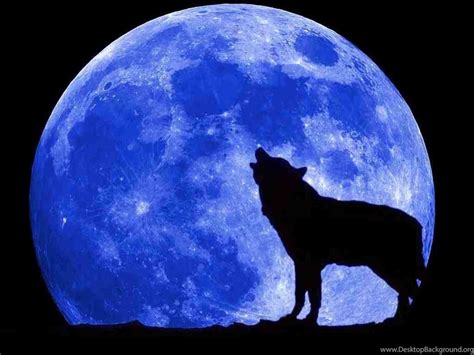 Blue Moon And Wolf Wallpapers Top Free Blue Moon And Wolf Backgrounds