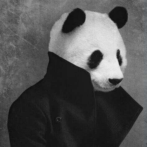 Life Isnt Just Black And White Panda Art Panda