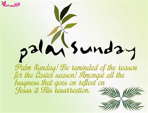 55 Most Adorable Palm Sunday 2017 Wish Pictures And Images