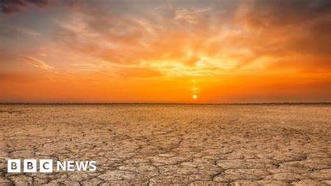Climate Change Last Four Years Are World S Hottest Bbc News