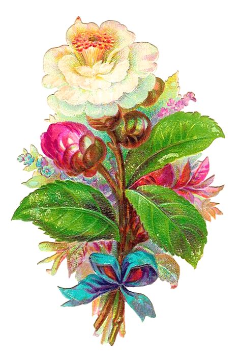 Antique Images Digital Flower White Camellia Vintage Clip