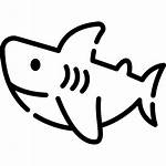 Shark Icons Icon Flaticon