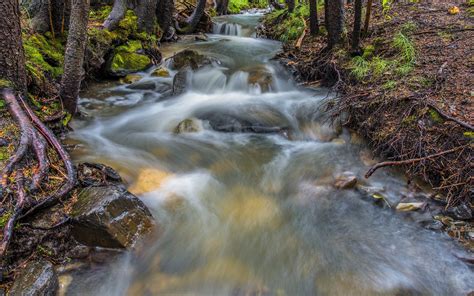 Canada Forest Jungle River Rocks Stones Waterfalls 2560x1600