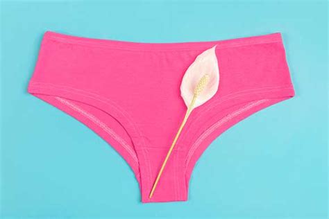 Normal Vaginal Discharge On Underwear
