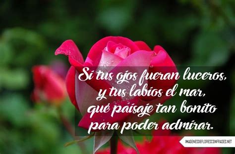 Imagenes De Rosas Con Frases Cortas De Amor Poemas De Rosas Frases