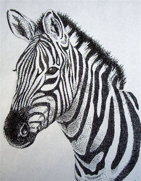Zebra Sketch Stippling Art Zebra Art Zebra Drawing