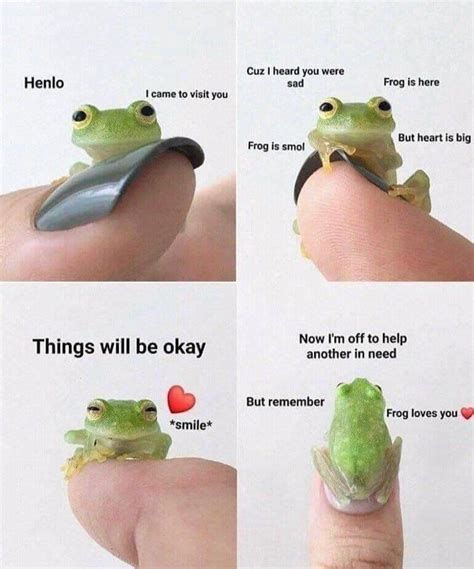 14 Uplifting Frog Memes For A Happiness Boost Home Made From The