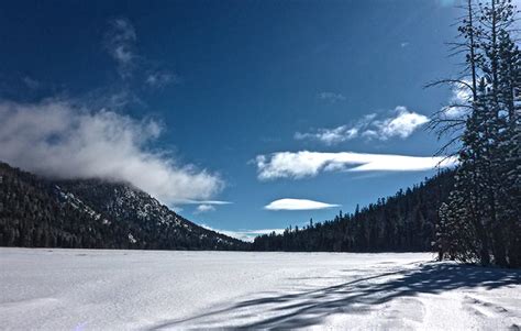 Cross Country Skiing And Snowshoeing At Luther Pass Grass Lake Tahoe