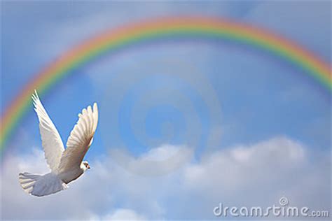 dove  rainbow stock image image