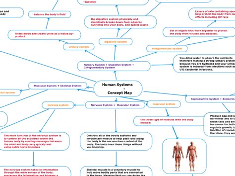 Human Systems Concept Map Mind Map