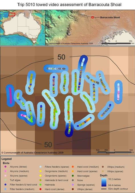 Barracouta Shoal Location Of Survey Transects And Initial Habitat