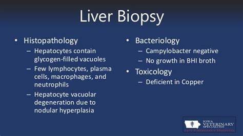 Laparoscopic Liver Biopsies