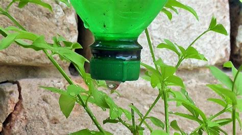 Plastic Bottle Drip Water Irrigation System Youtube