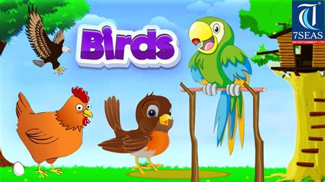 Learn Types Of Birds Animated Video For Kids English Animation