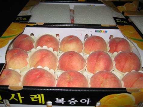 Fresh Peach Productskorea Fresh Peach Supplier