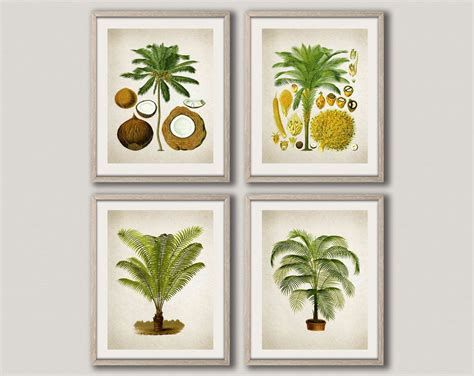 Botanical Print Set Of 4 Palm Tree Prints Botanical Wall Art Etsy