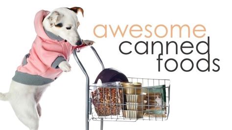 Nutrathrive, nutrabites, juve flex, canine detox Best Canned Dog Food: 4 High Quality Options (Updated 2019)