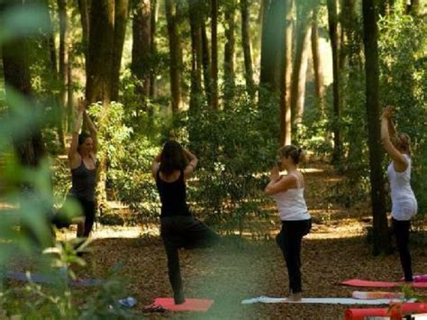 With this in mind, it's no surprise that orange and los. 3 Days Yoga and Meditation California Yoga Retreat ...